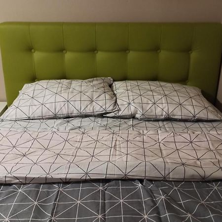 Cozy Home Bujorilor Temesvár Kültér fotó