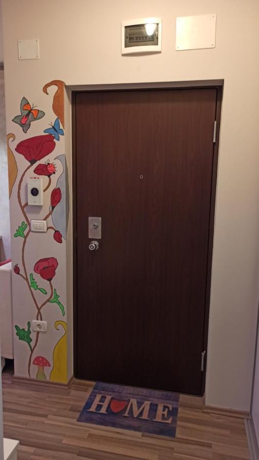 Cozy Home Bujorilor Temesvár Kültér fotó
